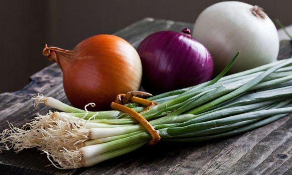 Какой лук полезнее 