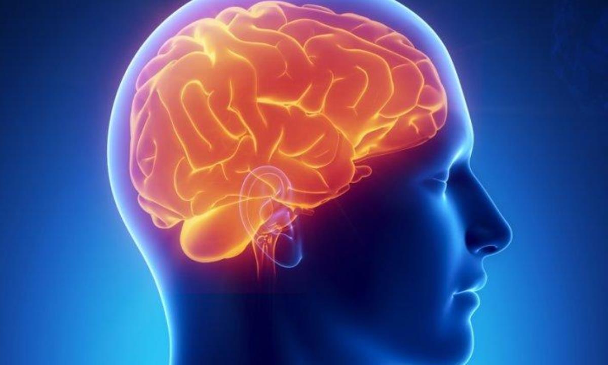 Названы профессии с самым низким риском деменции