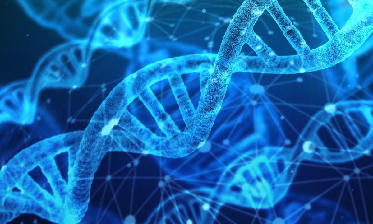 Эволюция ускорилась — ученые заметили признаки «нового человека»