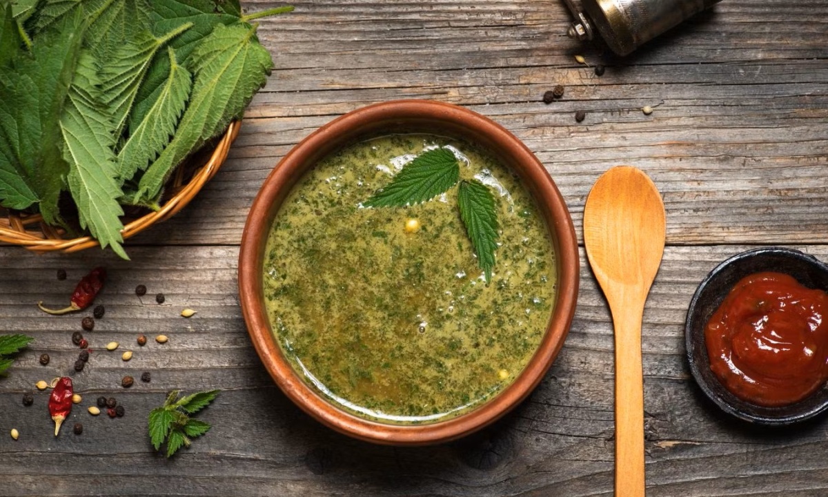 Кому нельзя есть крапиву