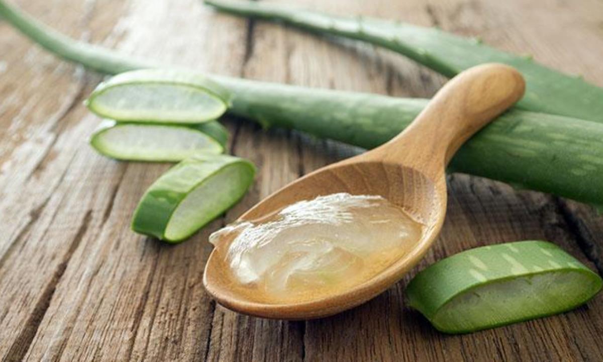 Чем полезен сок алоэ вера и как его правильно использовать