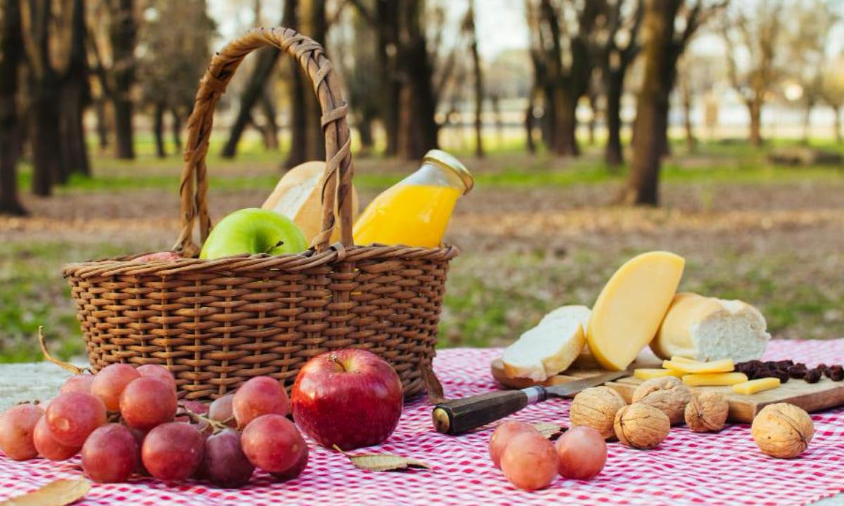 Скатерть на пикнике не улетит — простой трюк, который реально работает
