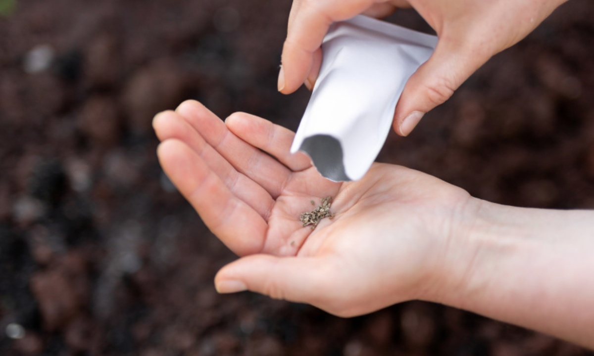 Какие культуры можно высадить в период холодов