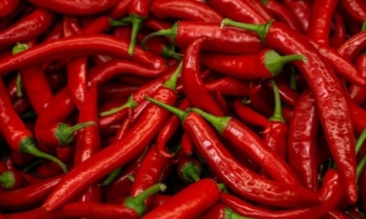 Какой перец можно вырастить на подоконнике