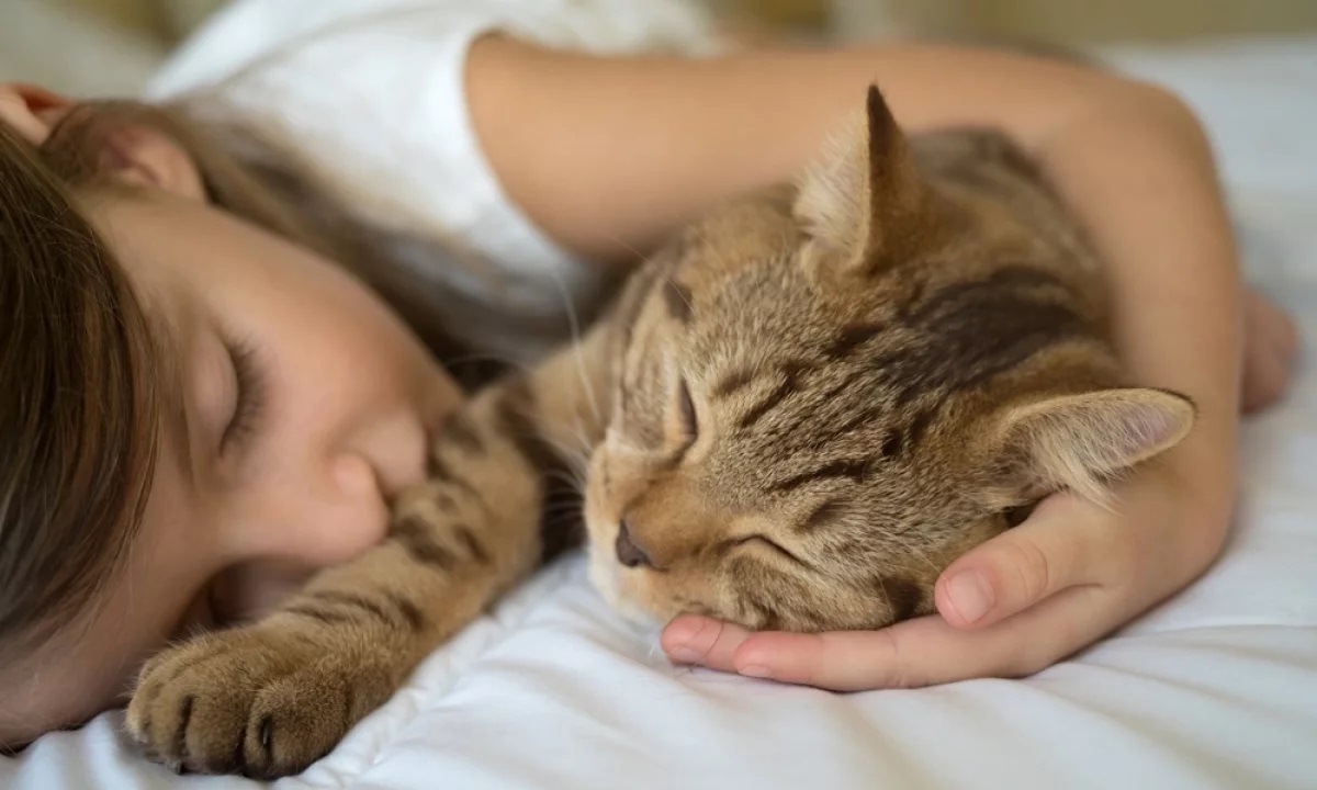 Какие человеческие лекарства нельзя давать кошкам?