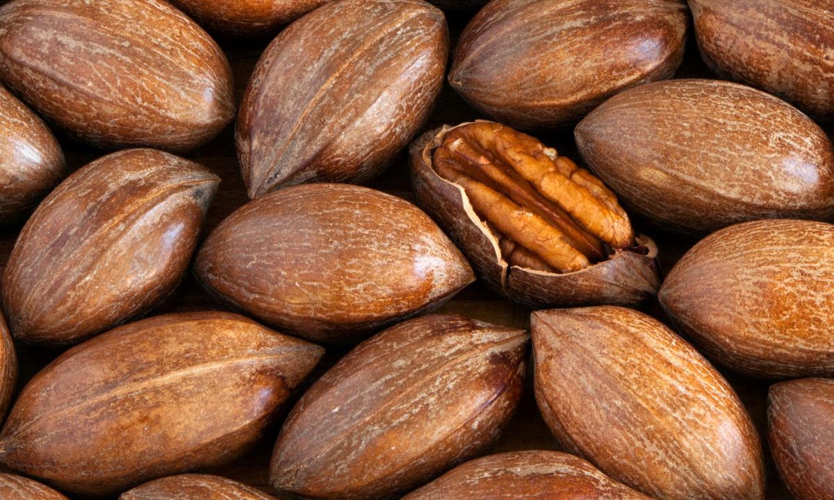 Орехи пекан — вкусный продукт для здоровья сердца и сосудов