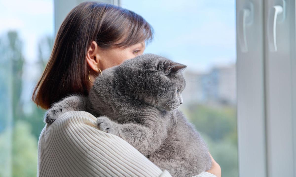 Объятия с кошкой не всегда помогают справиться со стрессом