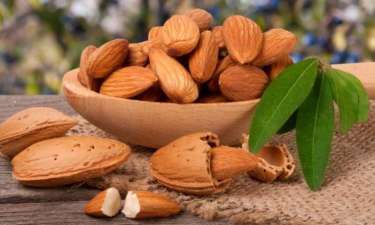 Какие продукты допустимы перед сном