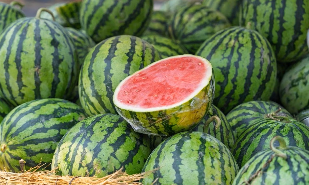 Какую опасную часть арбуза нельзя есть