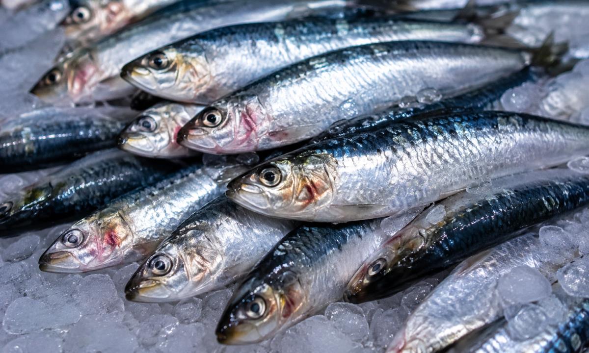 Эксперт объяснила, можно ли считать сардины суперфудом