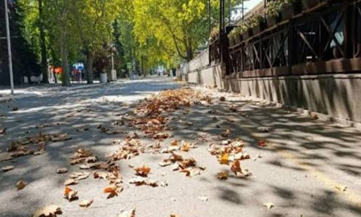 Осень приходит позже — названа настоящая дата смены сезона