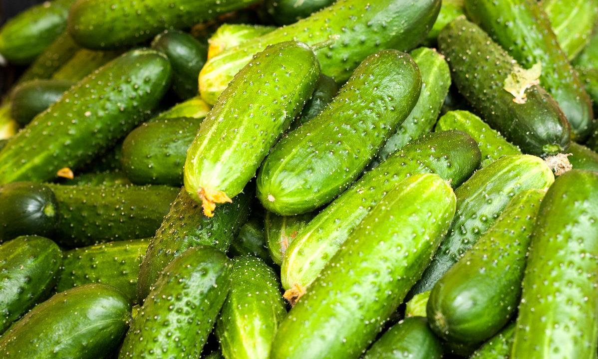Как выбрать свежие и хрустящие огурцы