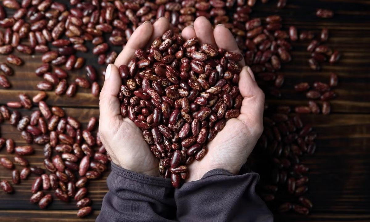 Какие продукты реально снижают «плохой» холестерин