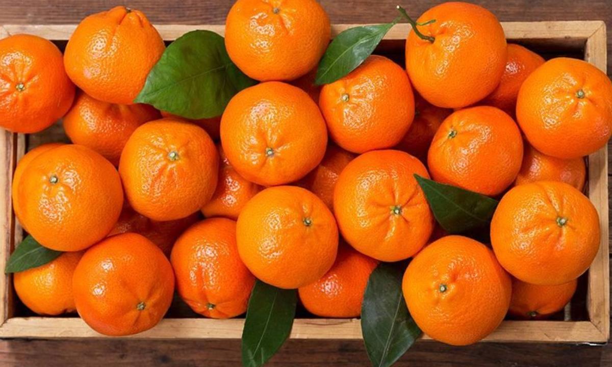 Помогают ли мандарины сжигать жир