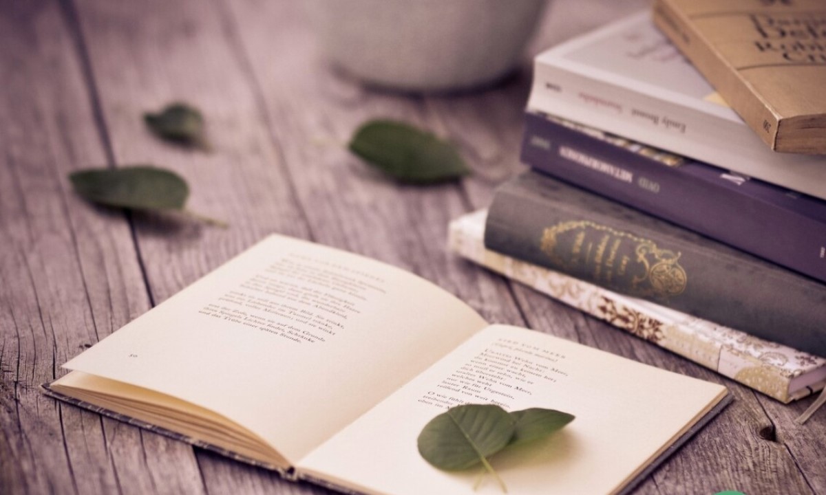 Зумеры возвращают бумажные книги в моду