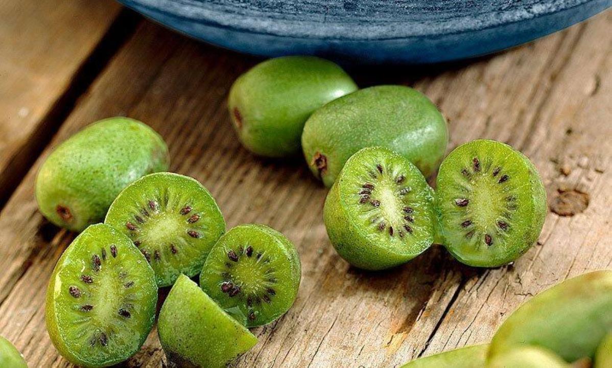 Что можно приготовить из актинидии
