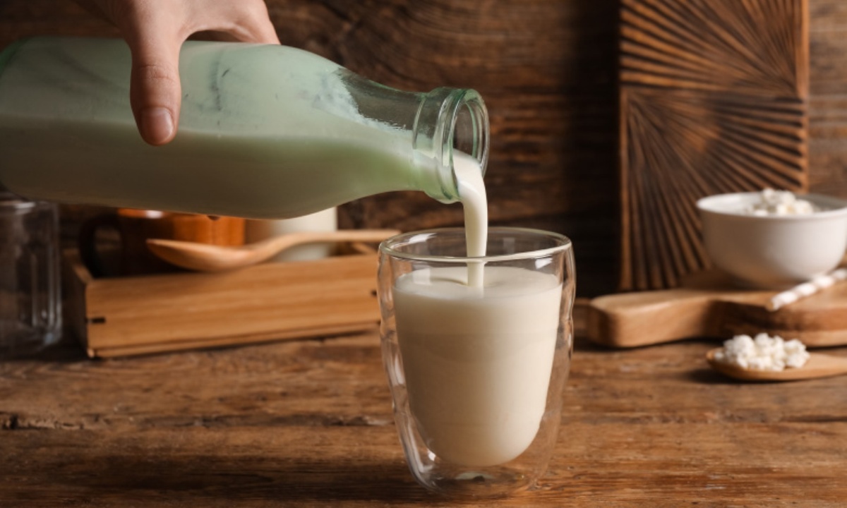 Какой молочный продукт лучше выбрать на каждый день